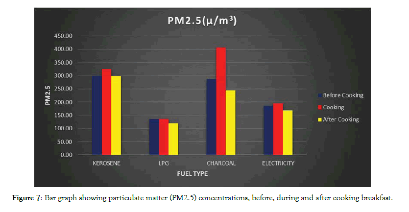 pollution-effects-control-particulate-matter