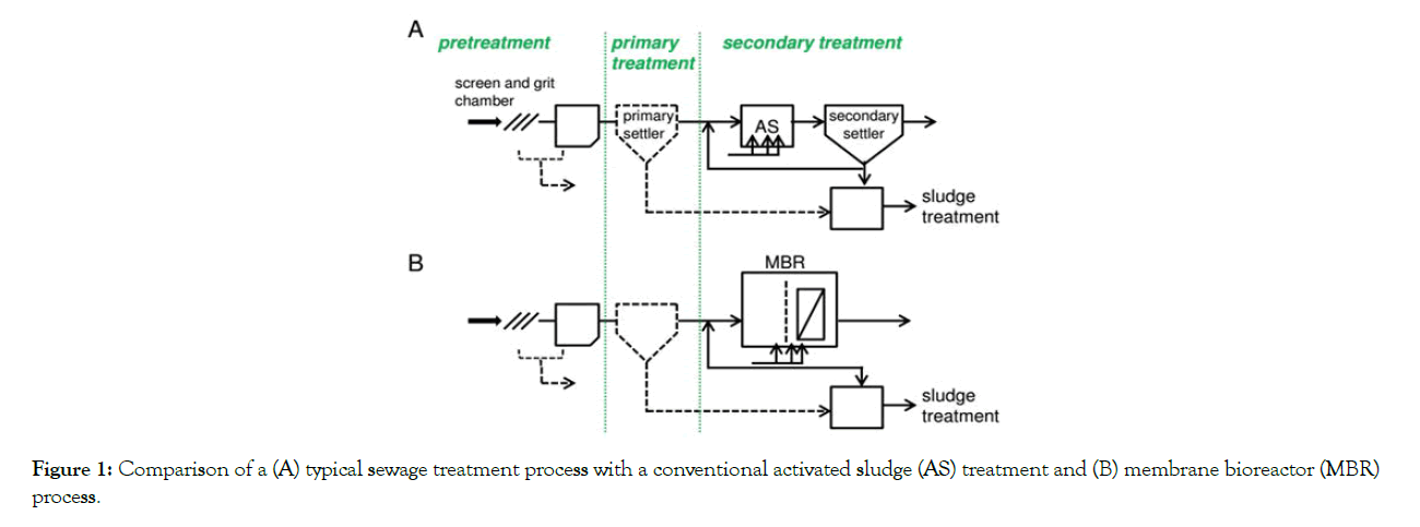 pollution-effects-control-typical-sewage