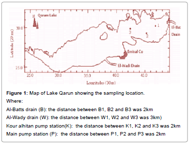 pollution-effects-sampling-location