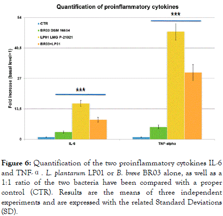 probiotics-health-Results