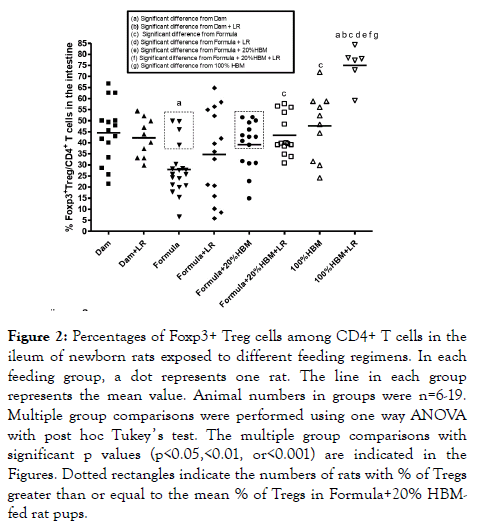 probiotics-health-Treg-cells