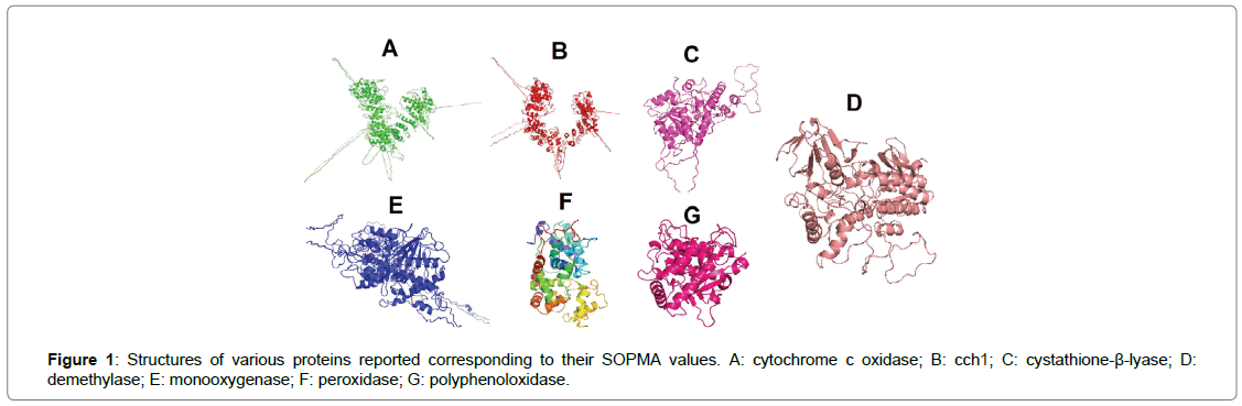 proteomics-bioinformatics-SOPMA-values