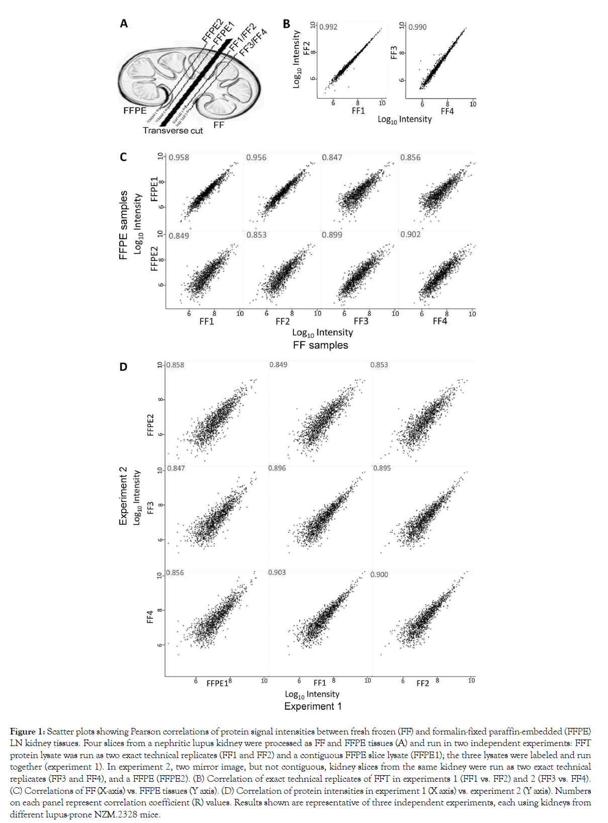 proteomics-bioinformatics-Scatter-plots