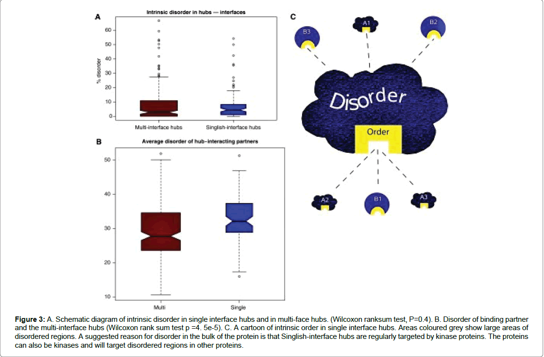 proteomics-bioinformatics-Schematic-diagram