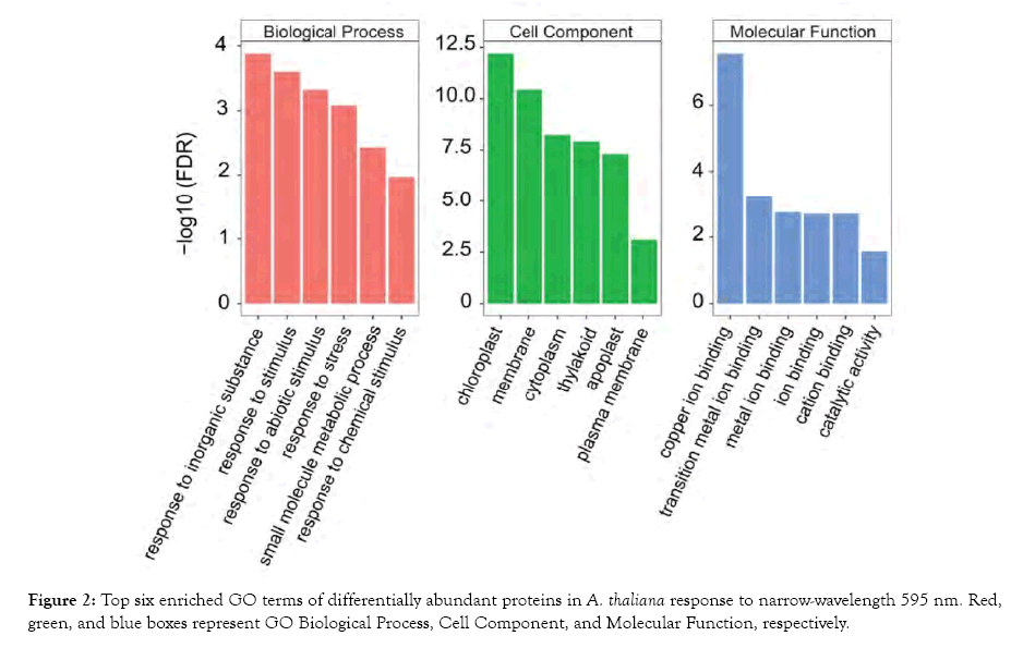 proteomics-bioinformatics-abundant