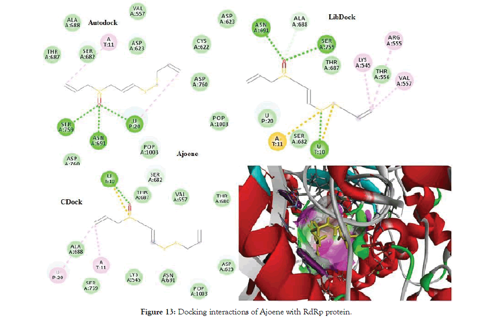 proteomics-bioinformatics-ajoene-protein