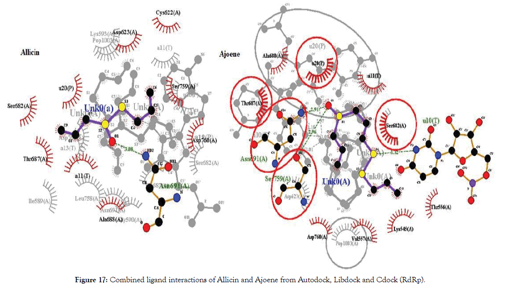 proteomics-bioinformatics-allicin