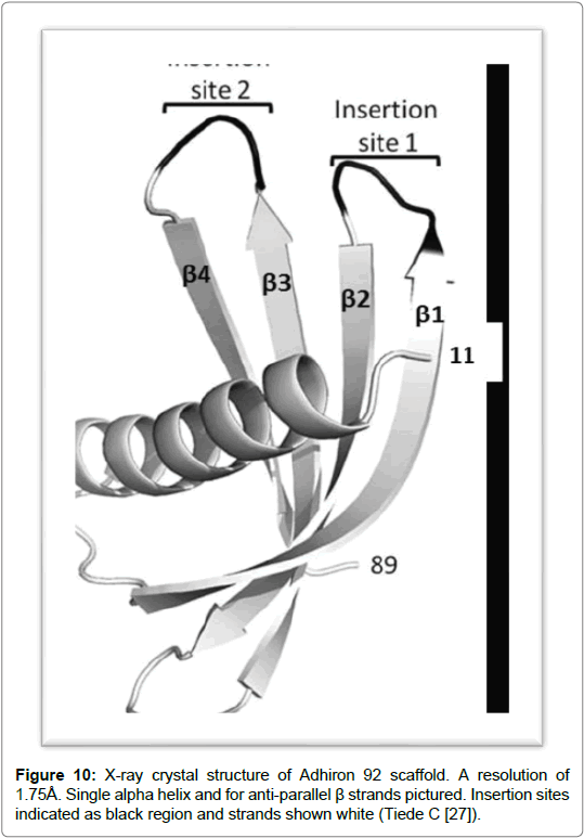 proteomics-bioinformatics-black-region