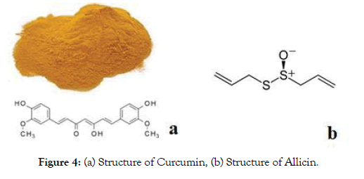 proteomics-bioinformatics-curcumin