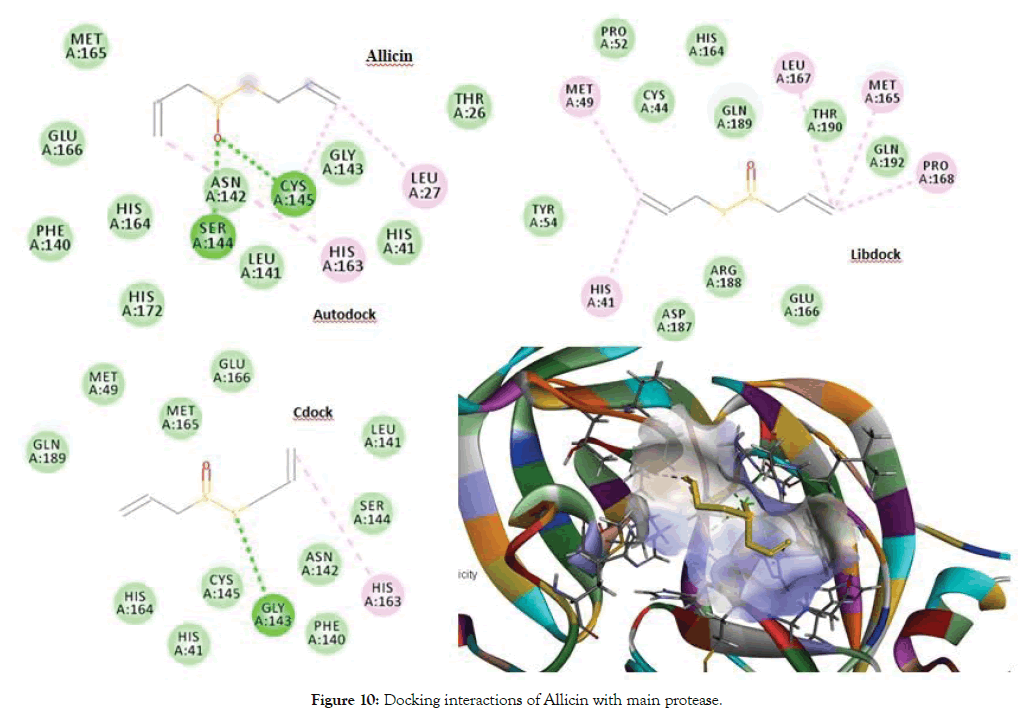 proteomics-bioinformatics-docking