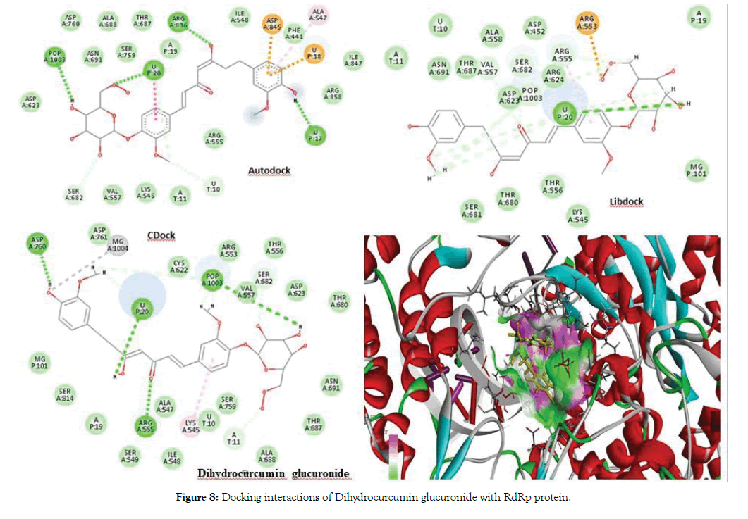 proteomics-bioinformatics-glucuronide