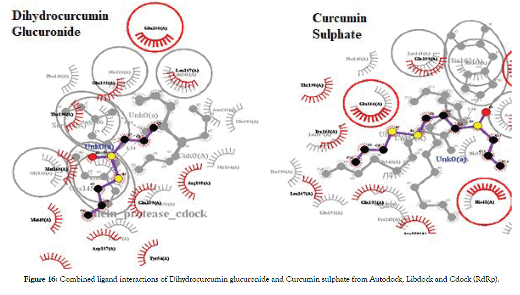 proteomics-bioinformatics-glucuronide-cdock