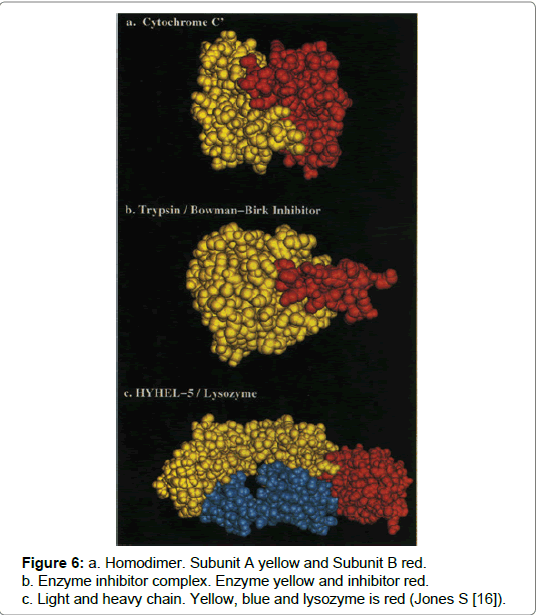 proteomics-bioinformatics-heavy-chain