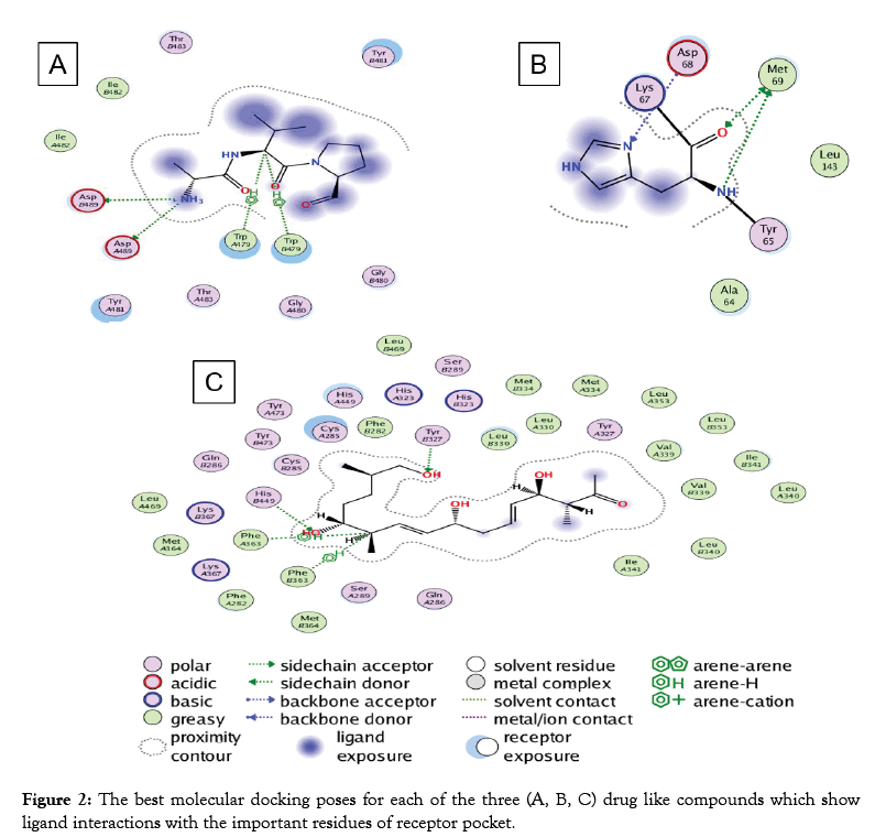 proteomics-bioinformatics-interactions