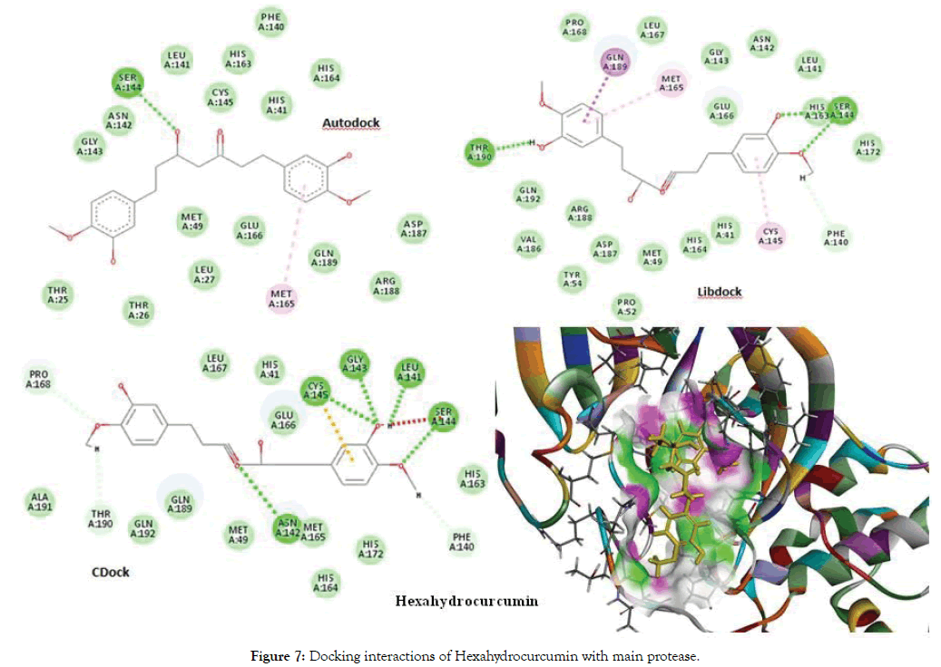 proteomics-bioinformatics-interactions