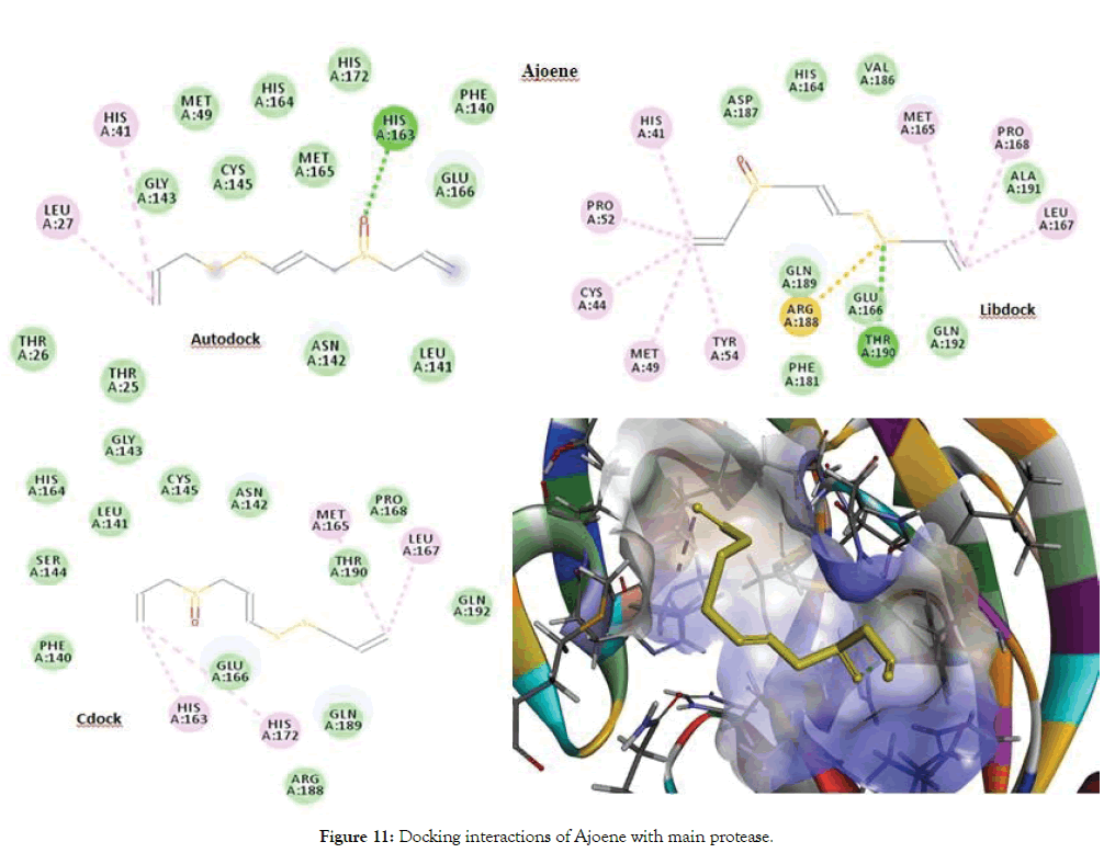 proteomics-bioinformatics-interactions