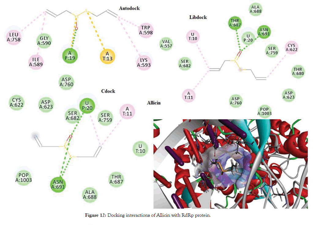 proteomics-bioinformatics-interactions-protein