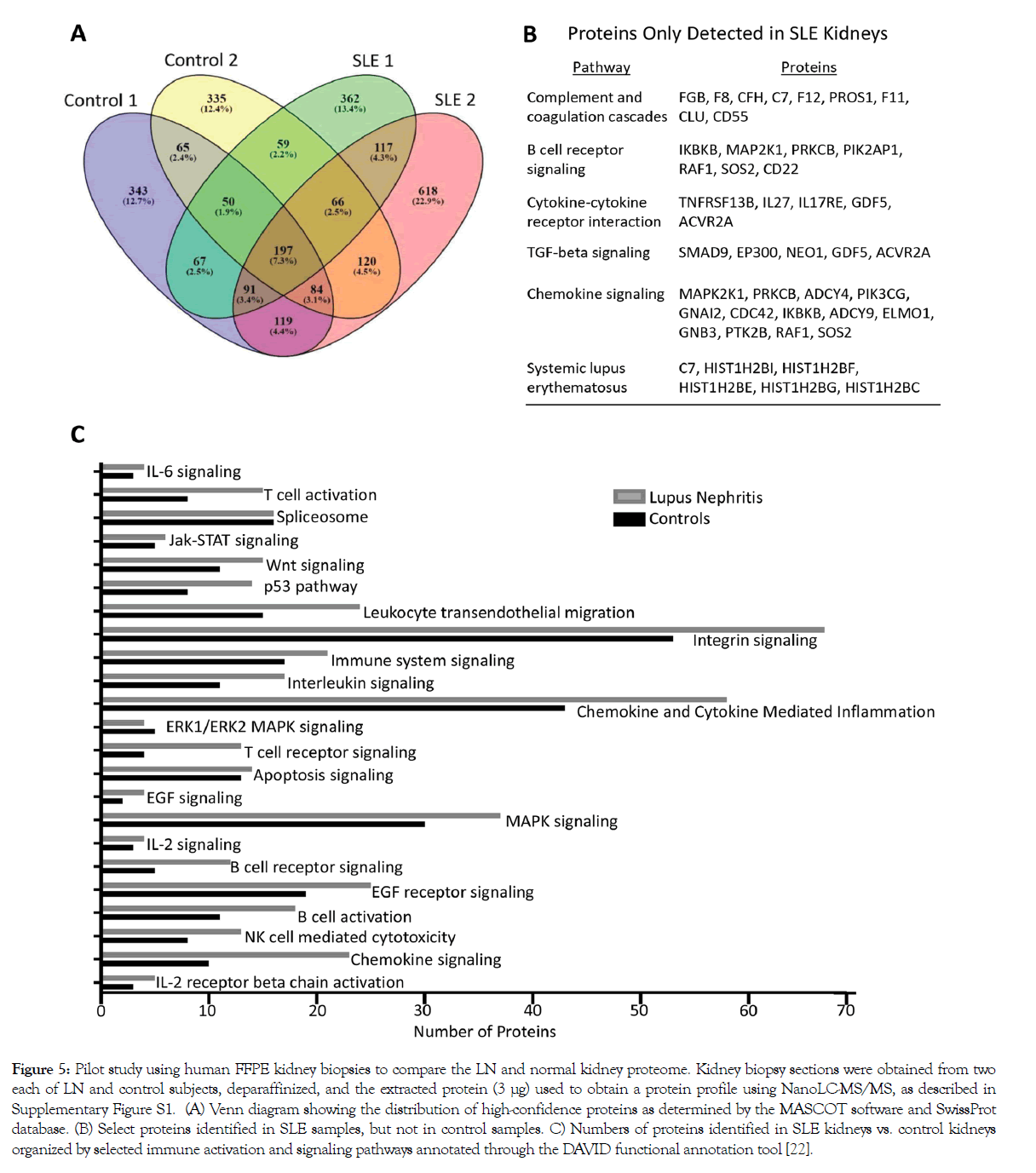 proteomics-bioinformatics-kidney-biopsies