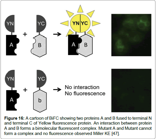 proteomics-bioinformatics-observed-Miller