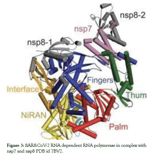 proteomics-bioinformatics-polymerase