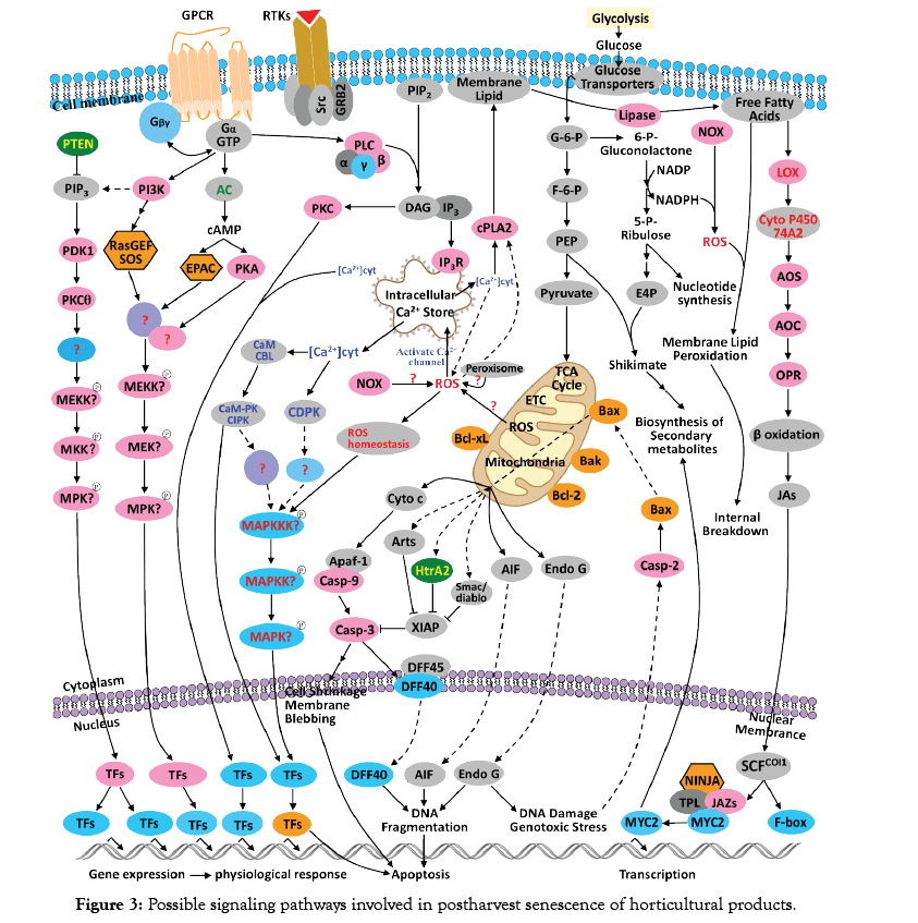 proteomics-bioinformatics-postharvest