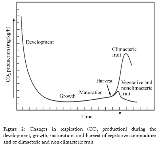 proteomics-bioinformatics-production