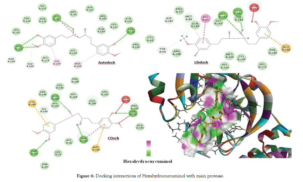 proteomics-bioinformatics-protease