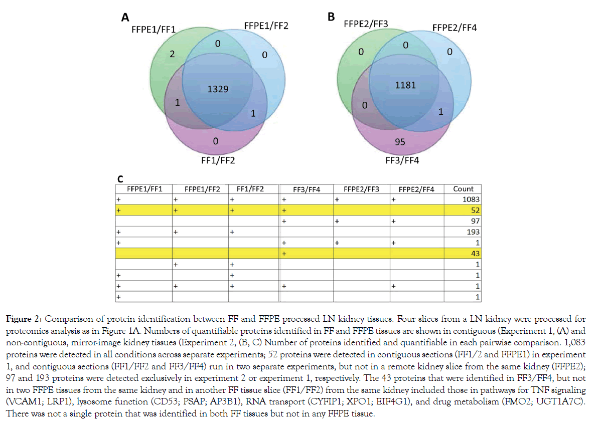 proteomics-bioinformatics-protein-identification