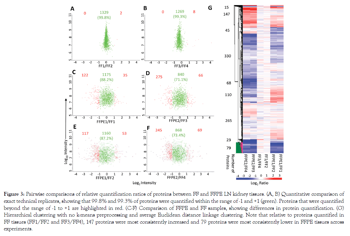 proteomics-bioinformatics-quantification