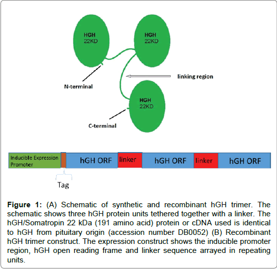 proteomics-bioinformatics-reading-frame