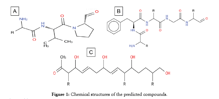 proteomics-bioinformatics-structures