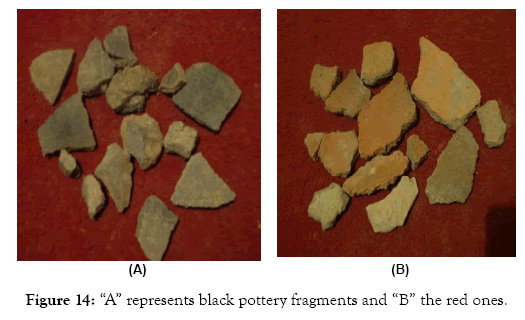 tourism-hospitality-fragments