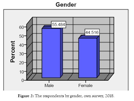 tourism-hospitality-gender