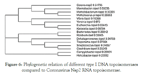 virology-mycology-compared