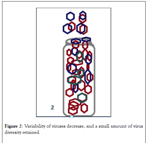 virology-mycology-diversity