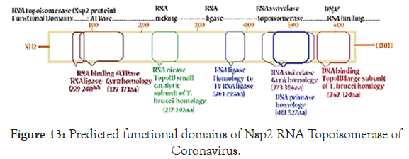 virology-mycology-domains