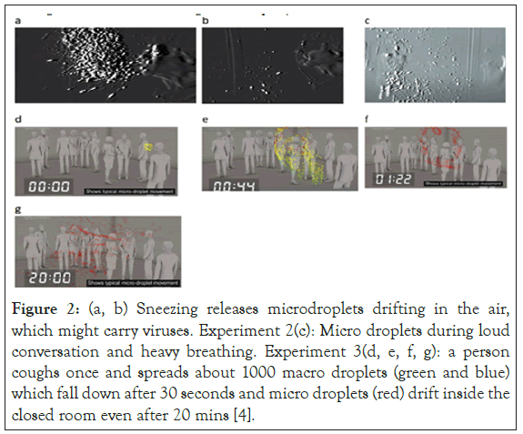 virology-mycology-drifting