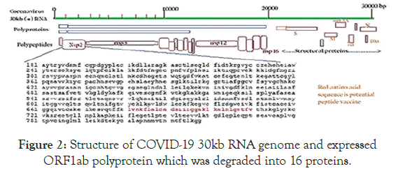 virology-mycology-genome