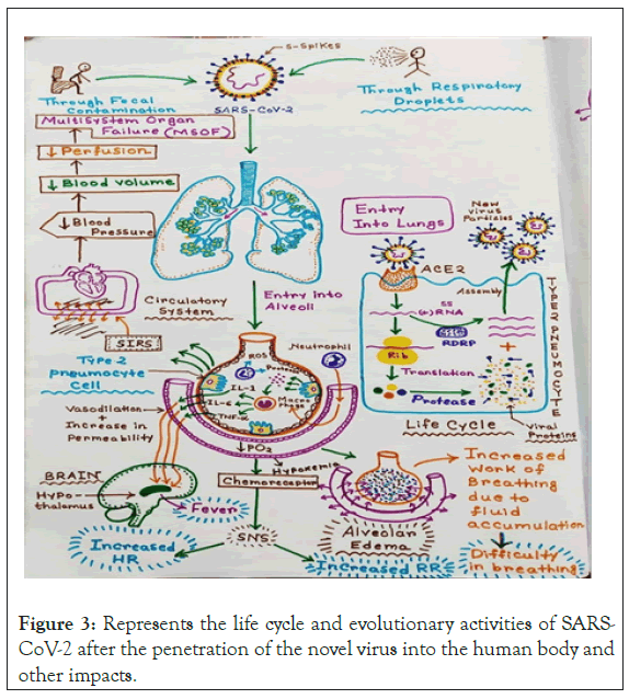 virology-mycology-human