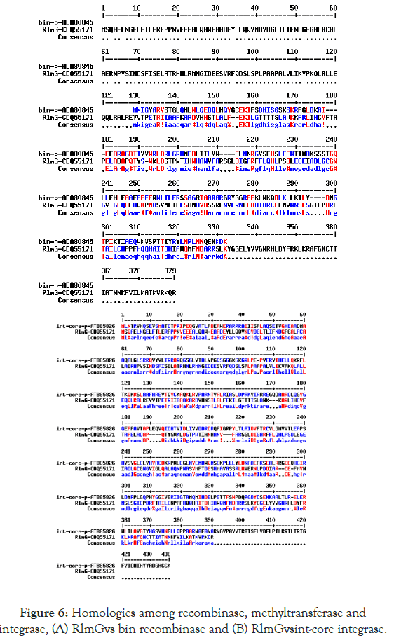 virology-mycology-methyltransferase