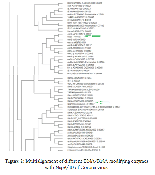 virology-mycology-modifying