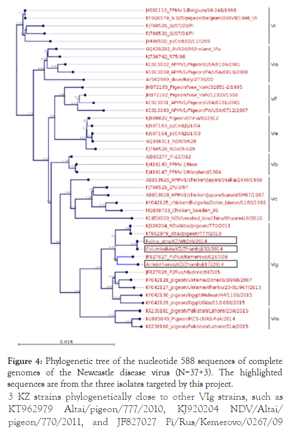 virology-mycology-nucleotide