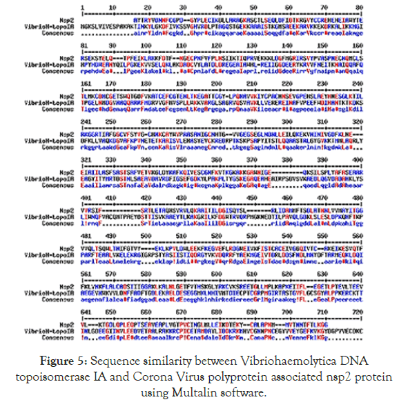 virology-mycology-polyprotein