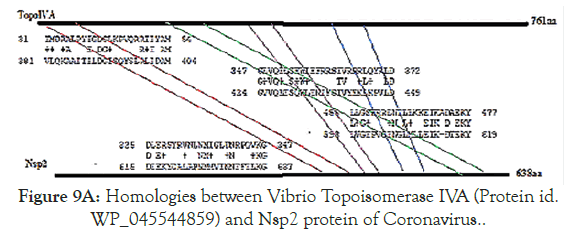 virology-mycology-protein