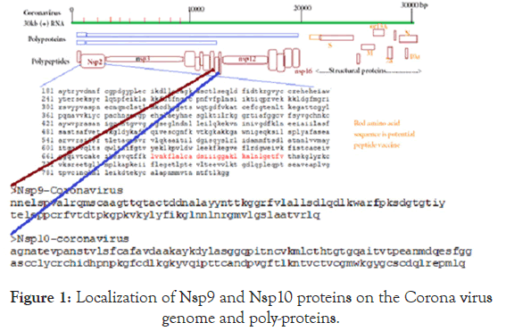 virology-mycology-proteins