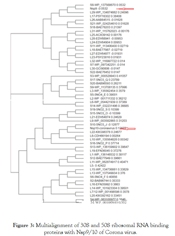 virology-mycology-ribosomal