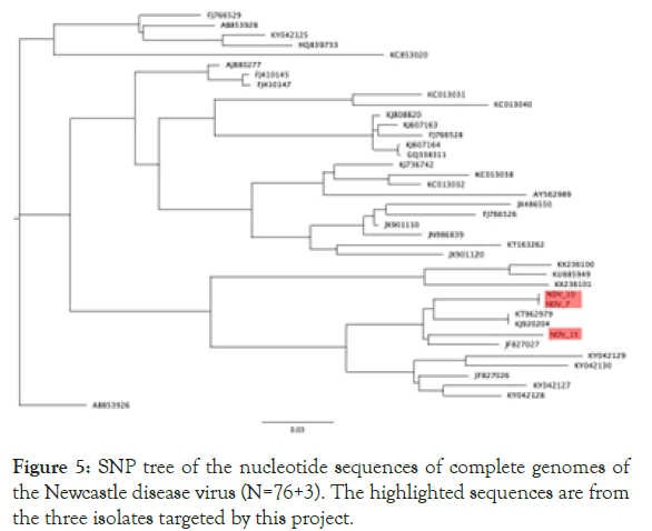 virology-mycology-sequences