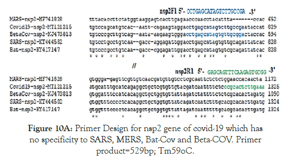 virology-mycology-specificity