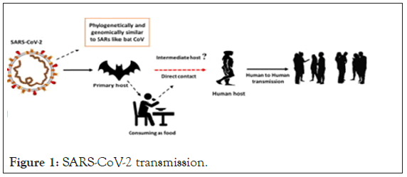 virology-mycology-transmission