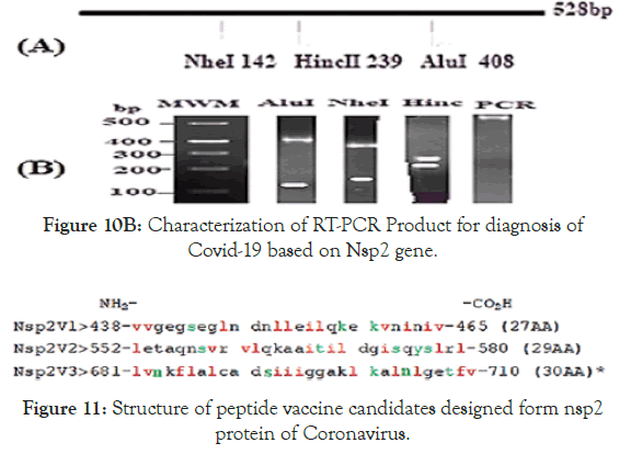 virology-mycology-vaccine